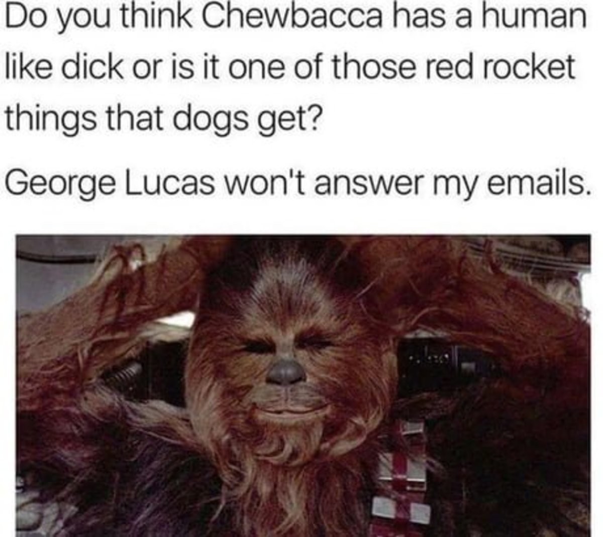 What is chewbaccas dick like