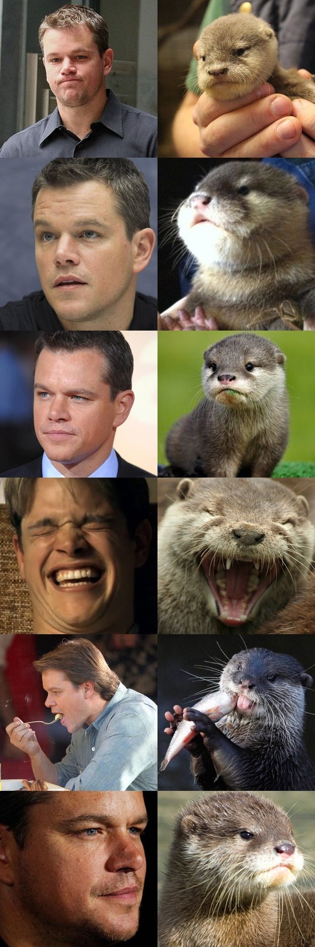 Otters that look like Matt Damon. .