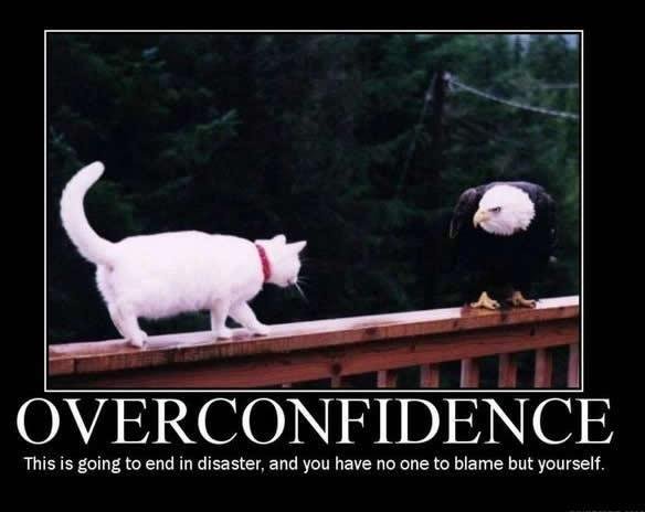 overconfidence. cat vs. eagle.