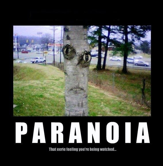 Paranoia_9063a9_654591.jpg (566×578)