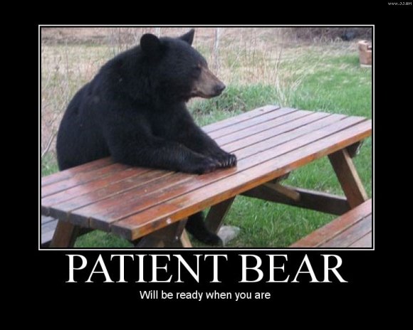 Patient Bear. . Will be ready when you are