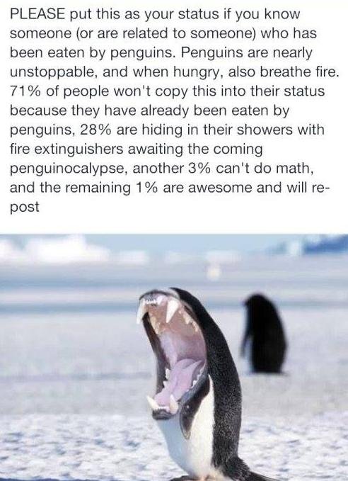 PENGUINOCALYPSE. We're DOOMED!. PLEASE put this as your status if you know someone (or are related to someone) who has been eaten by penguins. Penguins are near