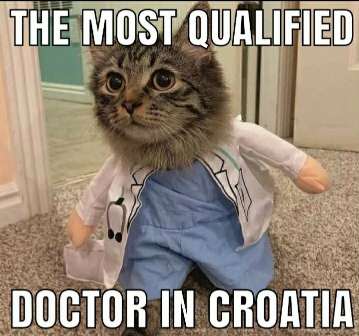 Plywood doctor. join list: Balkanism (433 subs)Mention History.. Thebulkiestcat works in Croatia as a doctor? No wonder you guys have bad healthcare, he is wholly unqualified