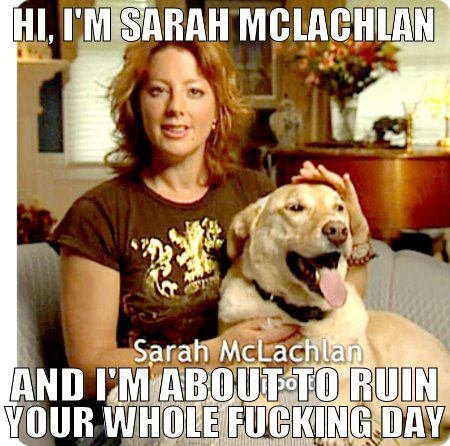 Sarah Mclachlan. first OC .. You know half of those animals would bite your face off i you got that close to them.