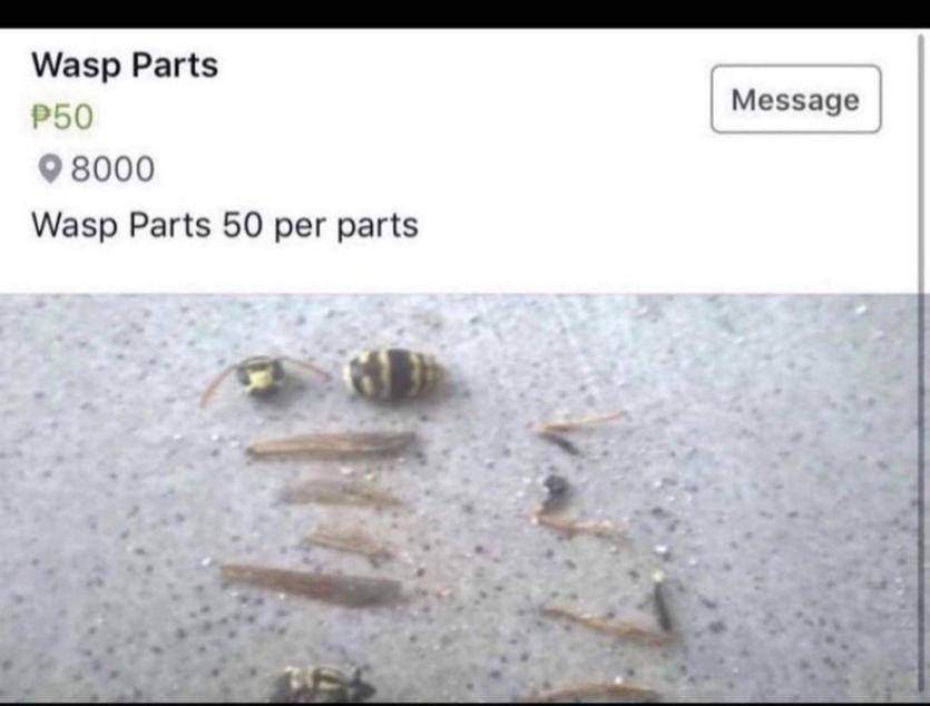 Selling pieces of wasp. .. &quot;no lowball offers, I know what I have&quot;