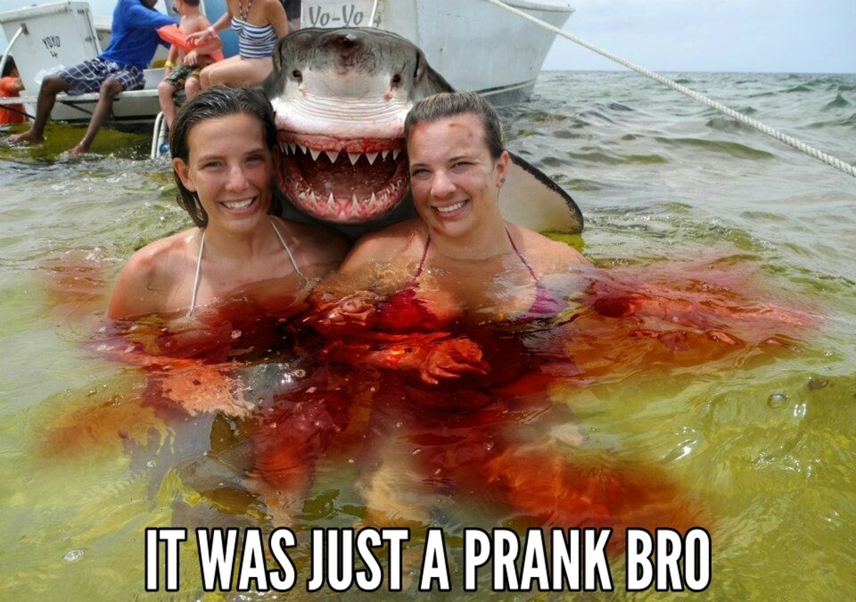 Sharking Prank (Gone wrong). . ijt FRANK I I II. guess one of em is on their period.