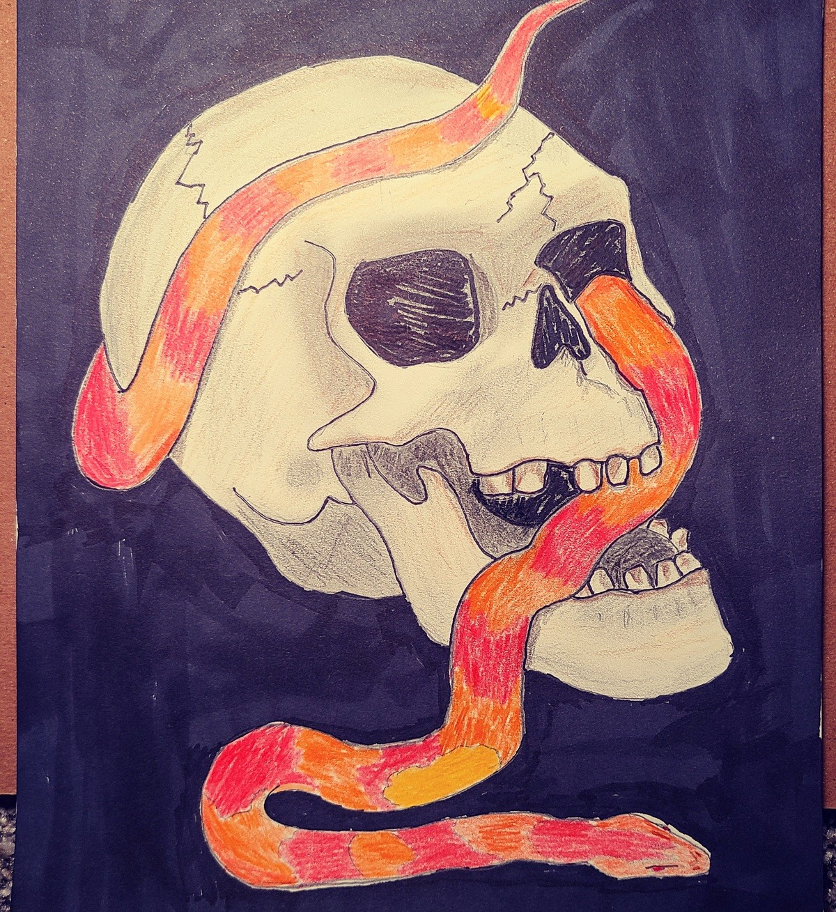 Skulls & Snakes are badass. Since my last skull came out neato I decided to make another one and include my late corn snake Noodle. She was my baby girl and loo