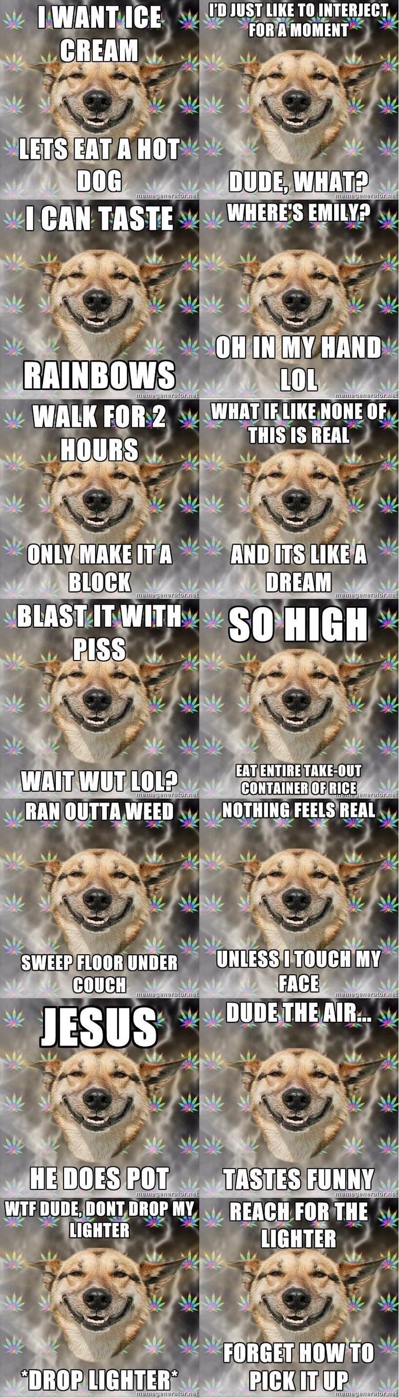 Stoner dog collection 2