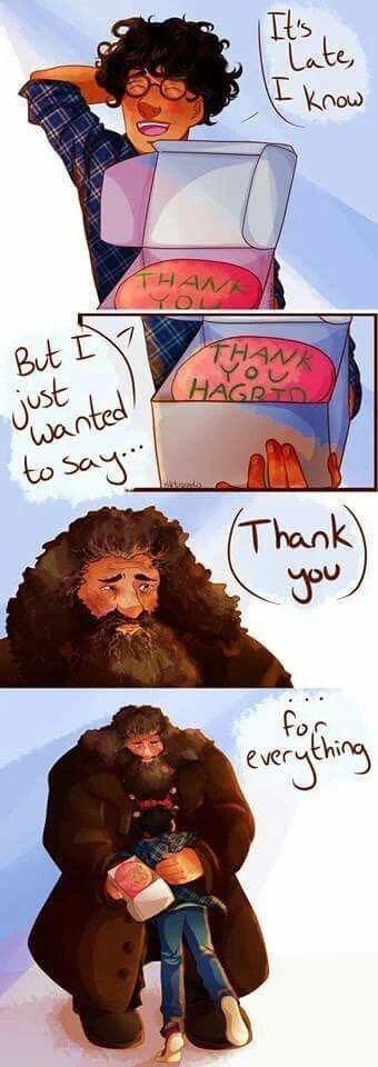 Thanks Hagrid. .. I appreciate the message but this is some terrible Tumblr level art
