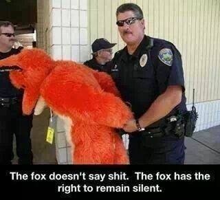 The fox doesnt say . . The d' aeon' t say shit. The fax has the right to remain silent.