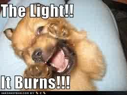 the light it burns!!!!!!. .. This is me when my mum walks in and opens the curtains.