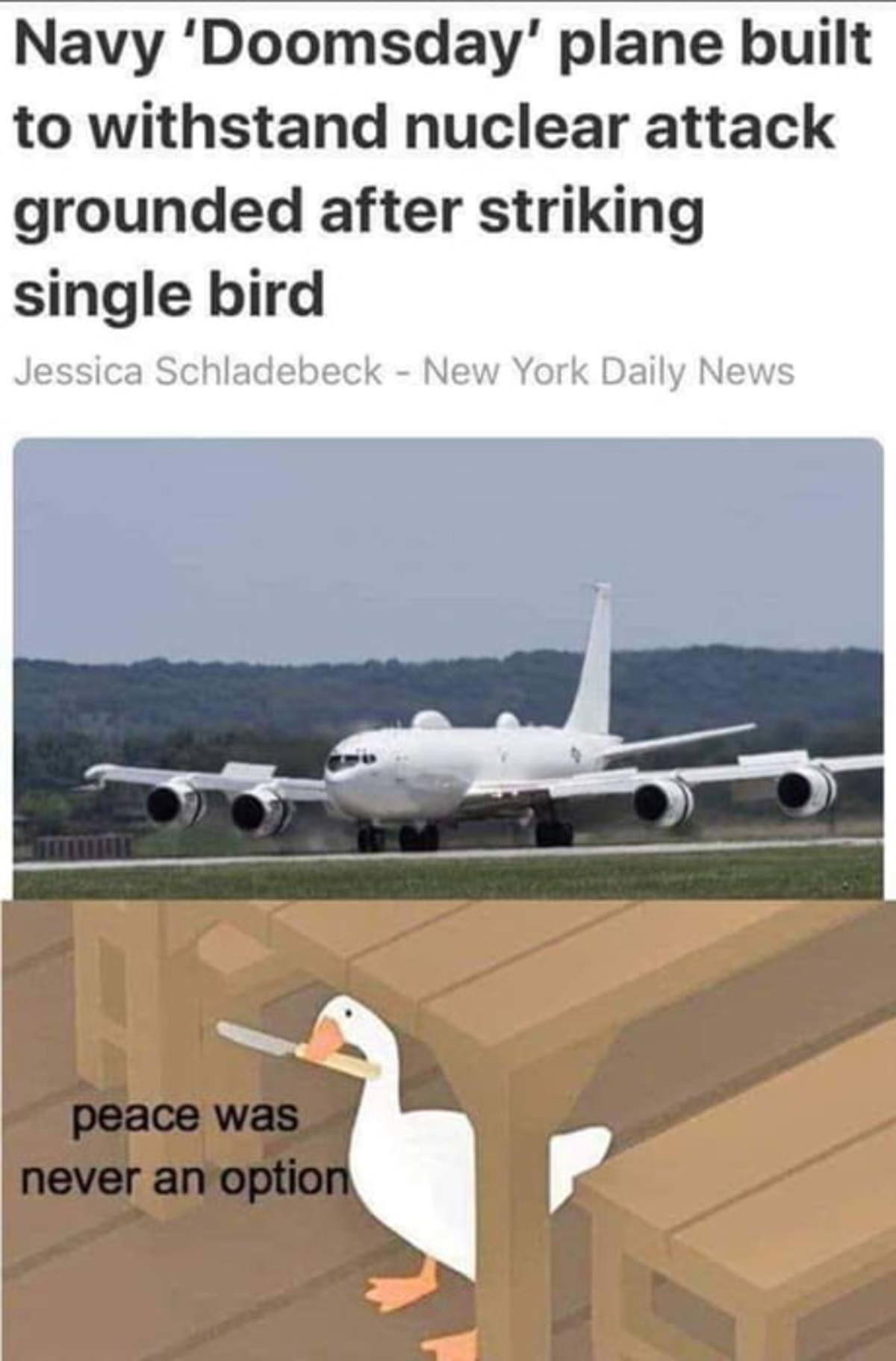 There are birds more dangerous than nukes out there.. .. it's like they spent a lot of money on the plane and they want to maintain absolute, unquestionable effectiveness, instead of taking chances with details, unlik