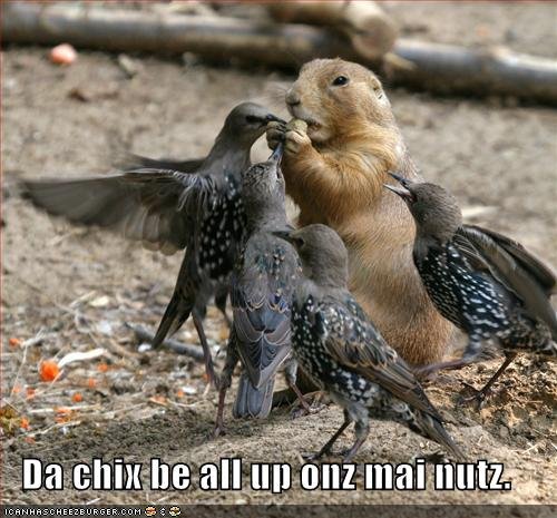 Theres a Bird on my NUTZ. .