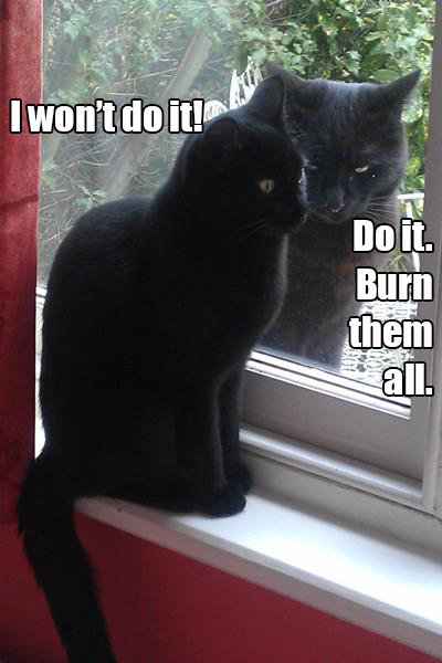 There's something wrong with this mirror. . taht. littl q. A cat refusing to burn people?