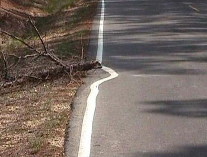 Theres Lazy. and then there's REALLY lazy.. But Officer,I am not Drunk! You told me to follow the line,and that's what I did!