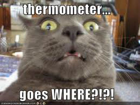 Thermometer goes where?!. . res iigjji' briti' miimii" ,, gags ,. OLD
