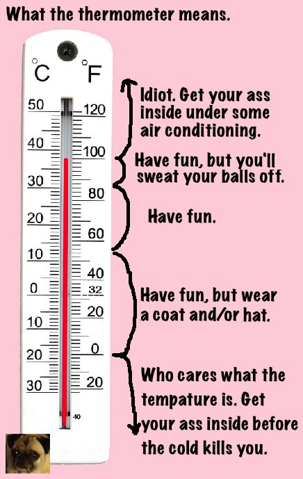 thermometer. the weather man on the news today lost his place on the teleprompter while talking about the temps in the NE US. he said &amp;quot;it doesn't matte