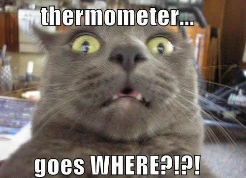 THERMOMETER GOES WHERE?. SCREW THIS I'M LEAVING..