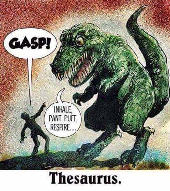 Thesaurus. . p, manta,