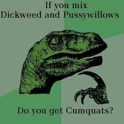 These are the questions you must ask.. Creds to Larry the Cable Guy. If you mix Dickweed and GMI ‘I Do you get Cumquat?