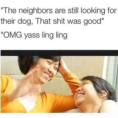 They also read minds. Damn asians. The neighbors are still looking for their dog, That shit was good" Oh/ Mass ling ling