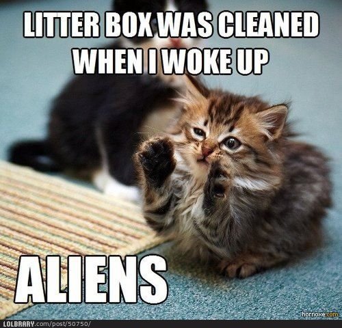They always stealing cat litter. .. No? That won't work?