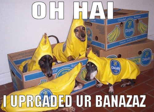They are bananas...lol. Enjoy!.