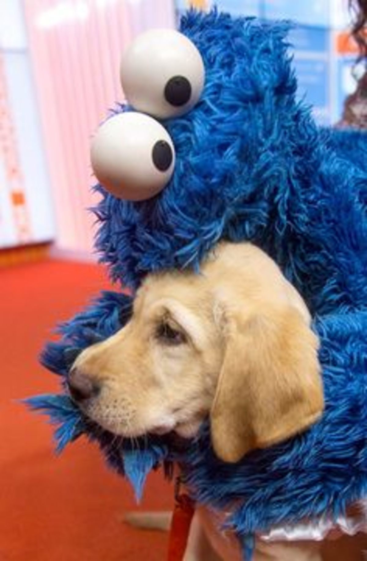 They are both cookie monsters. .