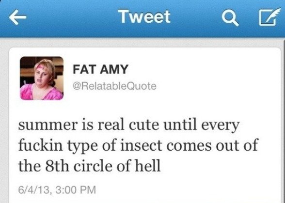 They are emerging. . Tweet Q Blikis FAT AMY summer is real cute until every fuckin type of insect comes out of the tth circle of hell
