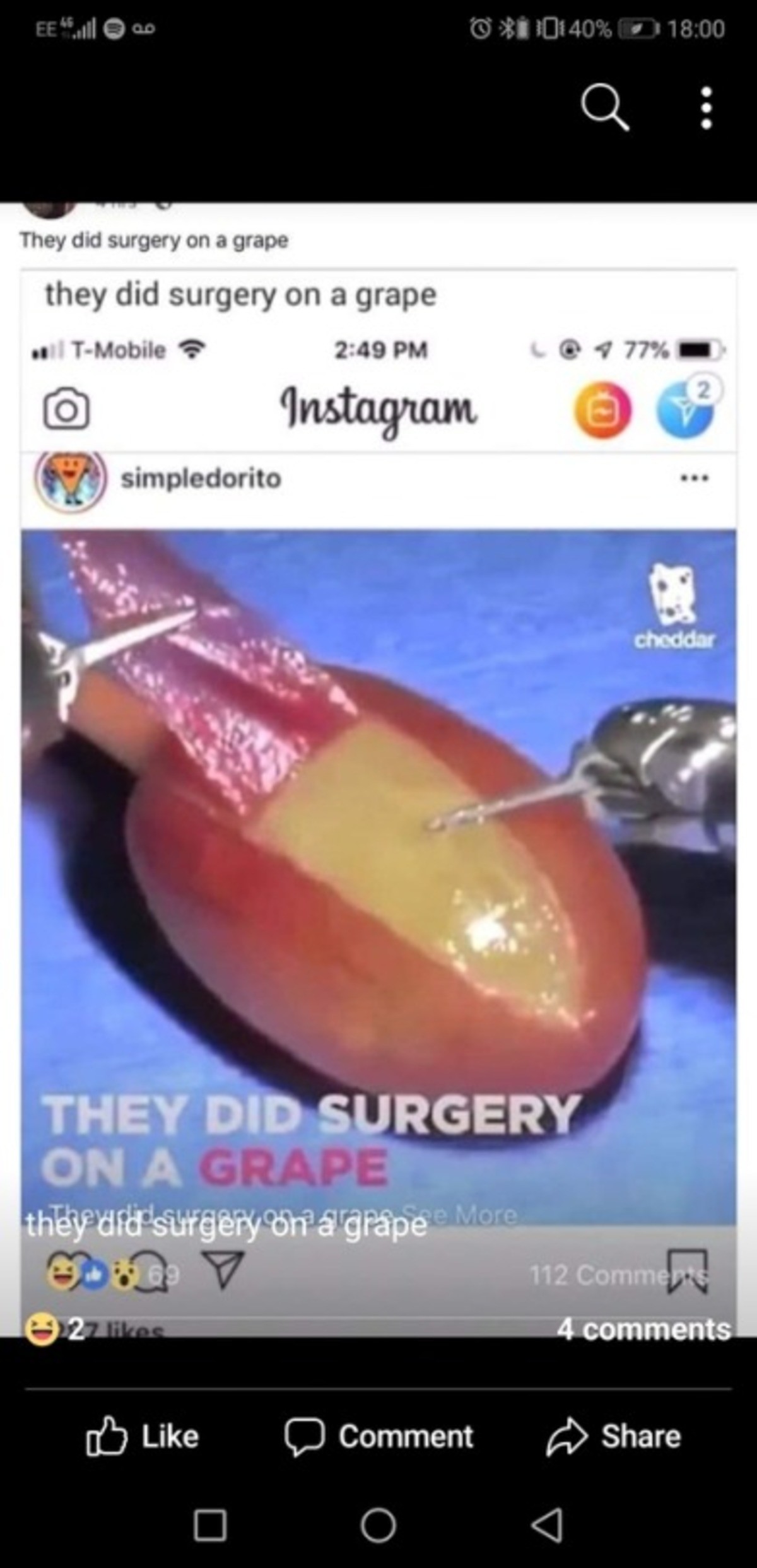 They did surgery on a grape. They did surgery on a grape.. They did this to test the capabilities of some sort of robot surgeon, this is like years old already...