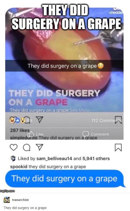 They did surgery on a grape. .. They did surgery on a grape