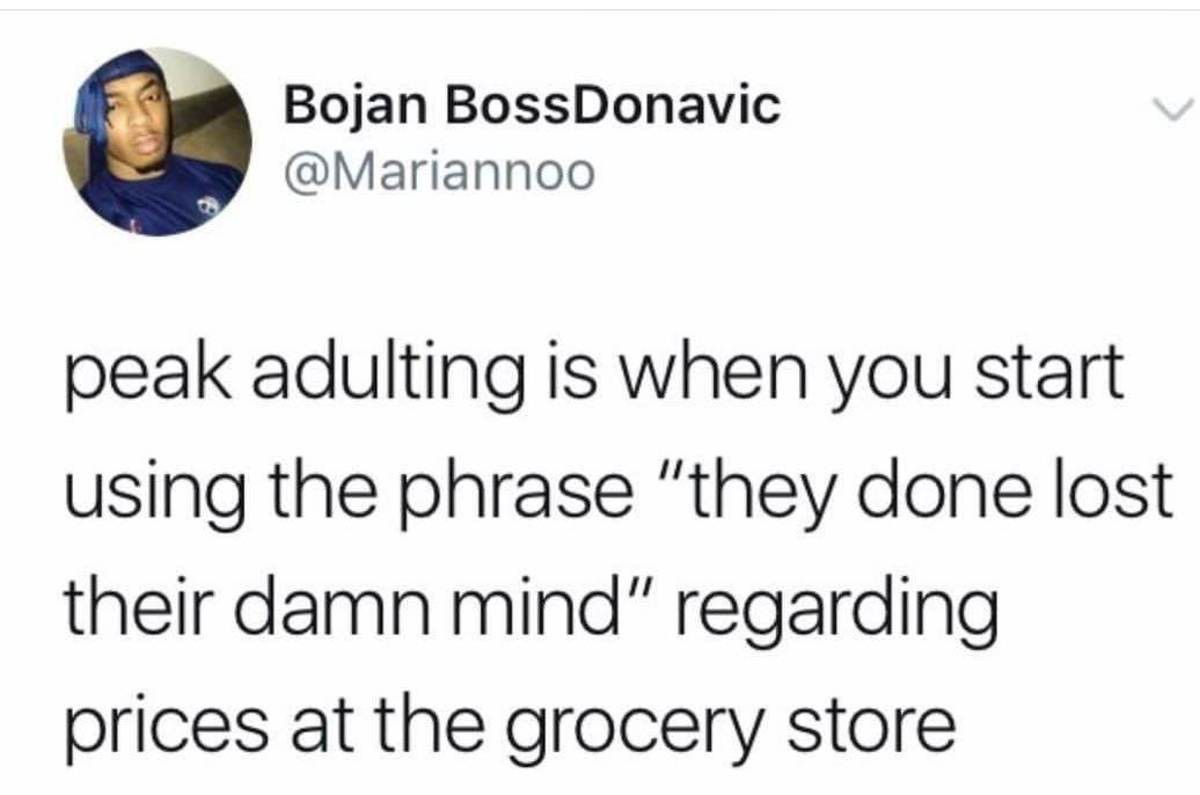 they done lost their mind. . Bojan Mariann's their mind” regarding prices at the grocery store. i peaked adulting yesterday when i drove a mini van and thought it was awesome
