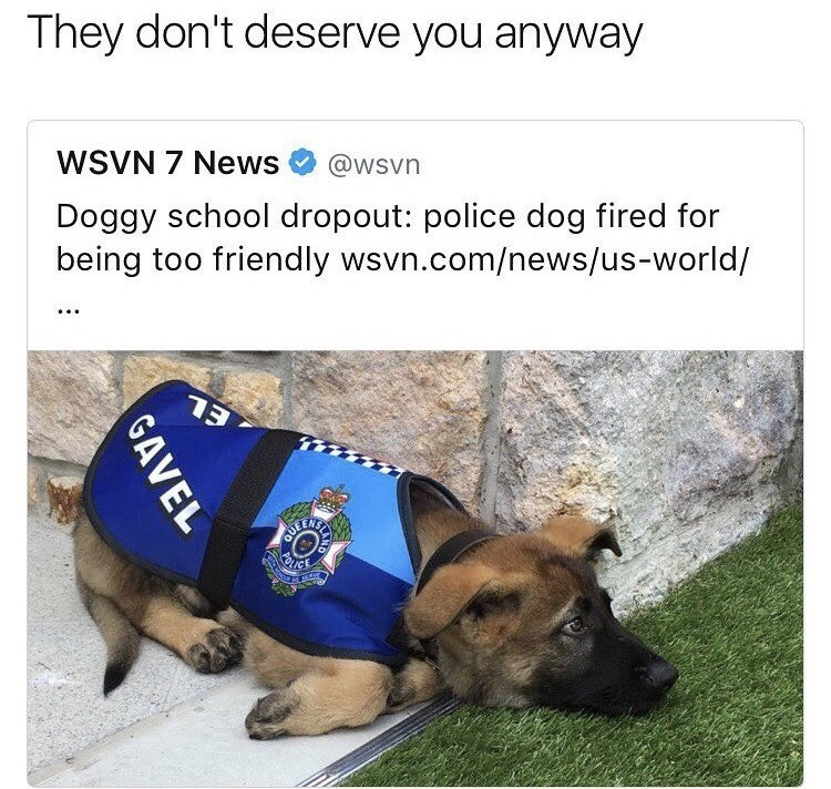 they don't deserve you. . They don' t deserve you anyway PSVN 7 News 9 Doggy school dropout: police dog fired for being too friendly psvn. corn/ /. Relax, he was given another job where he can use his friendly skills.