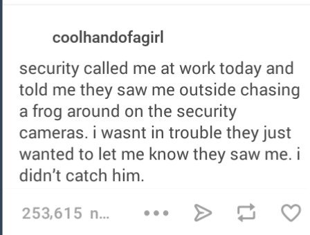 They got him. . security called me at work today and told me they saw me outside chasing a frog around on the security cameras. i wasnt in trouble wanted to let