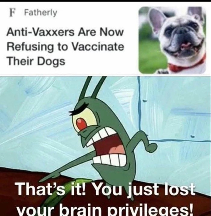 They have gone too far. .. Refusing to vaccinate your pet should be grounds for removal as you clearly aren't mature enough to protect them.