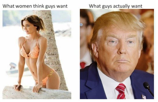 They just don't understand. . when women think guys want What guys actually want. &lt;what I really want, just please no trump.