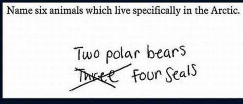 THEY FORGOT THE PENGUINS. . Name six animals which live specifically in the Arctic.. dude penguins and orcas live in the antarctic
