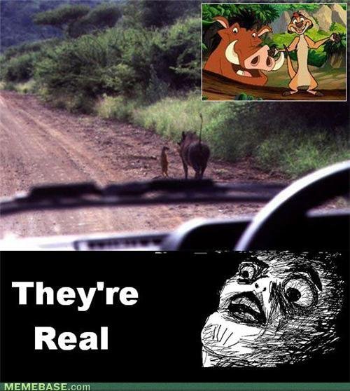 they are real. . MEMEBASE. Catn. that's actually too awesome. My childhood superheros are real :)