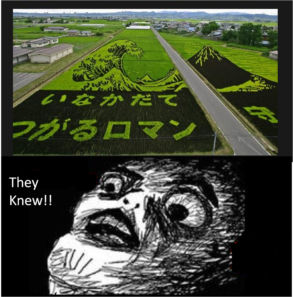 They knew. They rice farmers knew about it!.