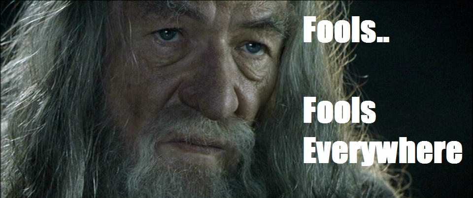 Theyre+everywhere+gandalf+looking+unimpressed+and+dissapointed+because+he+is_67241c_4966377.png