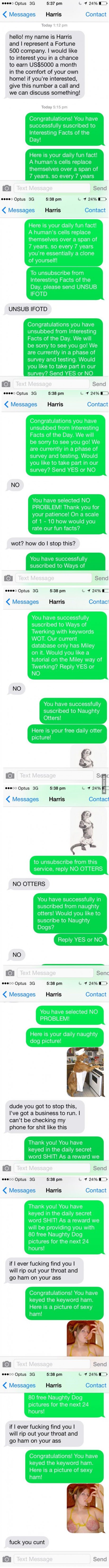 Troll level 999. . no Optus as 5: 37 pm L l 24% 4 Messages Harris Contact Today 1: 12 pm hello! my name is Harris and I represent a Fortune 500 company. I would