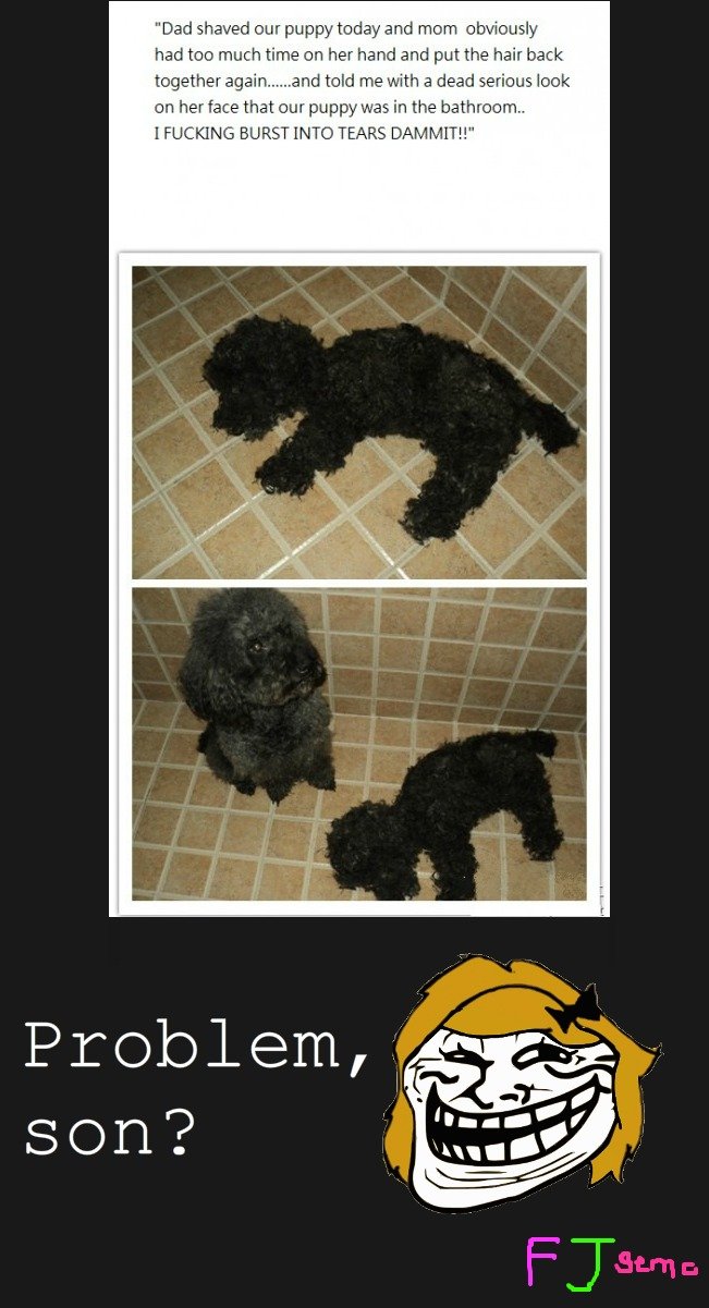 troll mom is a troll. . Dad shaved our puppy today and mom -ahw‘ had too much time on her hand and put the hair back together‘ again .... "and told me with a de