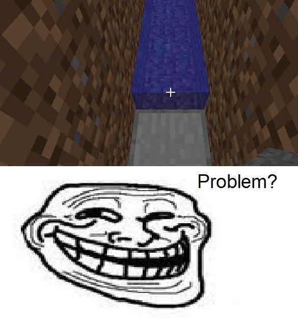 Troll Physics Minecraft. OC. Problem?