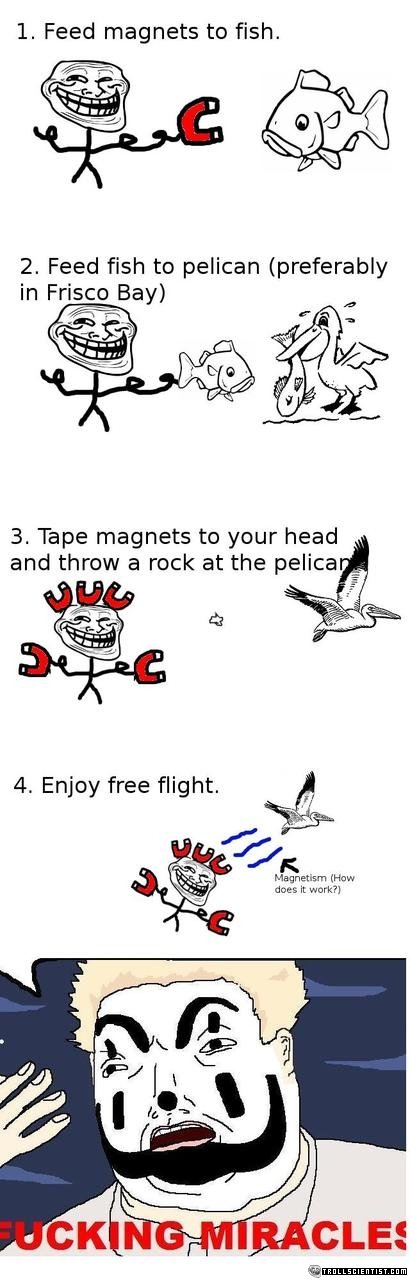 Troll Science. . l, Feed magnets to fish, 2. Feed fish to pelican (preferably in Frieda Bay) 3. Tape magnets be your head . and threw a rock at the polica _ Mag