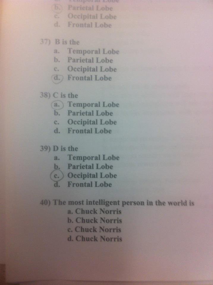 Troll Teacher. this was on my test this morning. but.. which one is it?!. H the A. Temporal Lobe h. Parietal Lobe an Occipital Lobe d., Frontal Lobe 33) Wasthe. I pick E(all of the above)