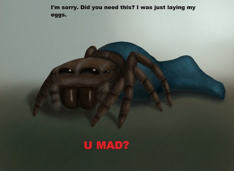 Troll Spider. OC. Thumb up or down. I' m sorry. Did you usual this? I was just laying my sags.. No, I'm scared