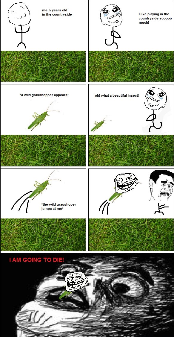 troll insect. really happened. IT the countryside .. 'N ' if I like playing IT the countryside 500000 much! a wild appears‘ oh! what a beautiful insect! the wil