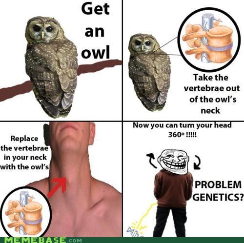 Troll Science. . vertebrae nut of the curl’: neck entree can turn yum ea- IMI Replace the vertebrae in rent neck with the owl' s PROBLEM GENETICS?. thats not genetics that owl only has one ass just one ASS!!