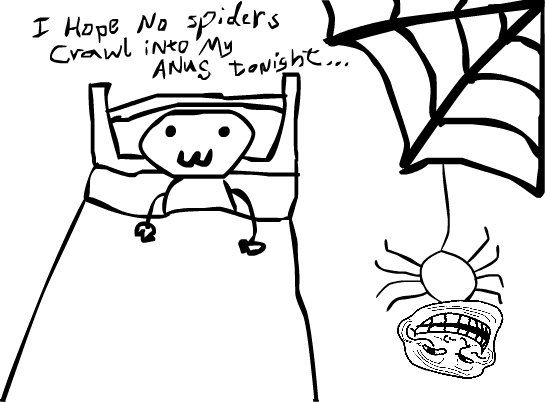 Troll Spider in my anus. I always am thinking this same thing every night before i go to bed... why the hell would ANYONE even think about a spider crawling into their anus