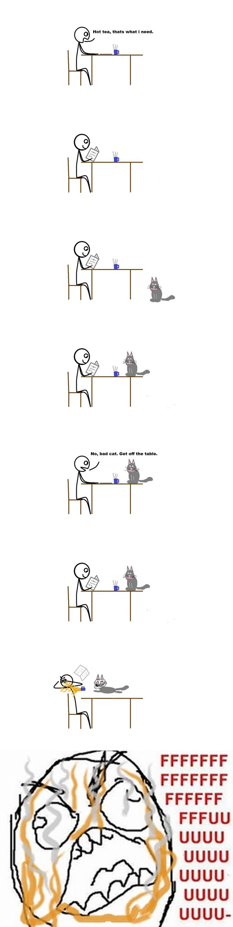 Trollcat. .. Lol, that seems to hapen to me ALOT! This is pretty relatable. :D